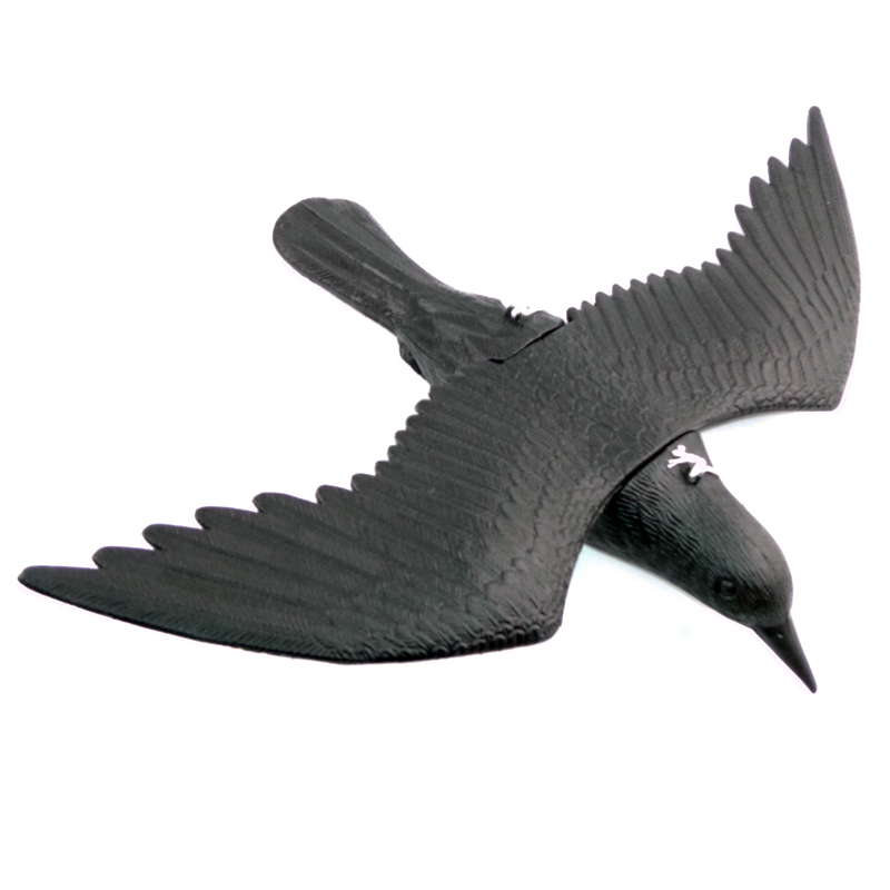 Flocked Crow With Wings