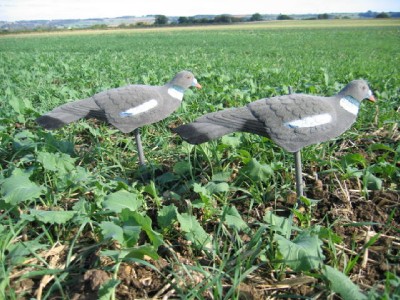 1/2 Flocked Pigeon Decoys