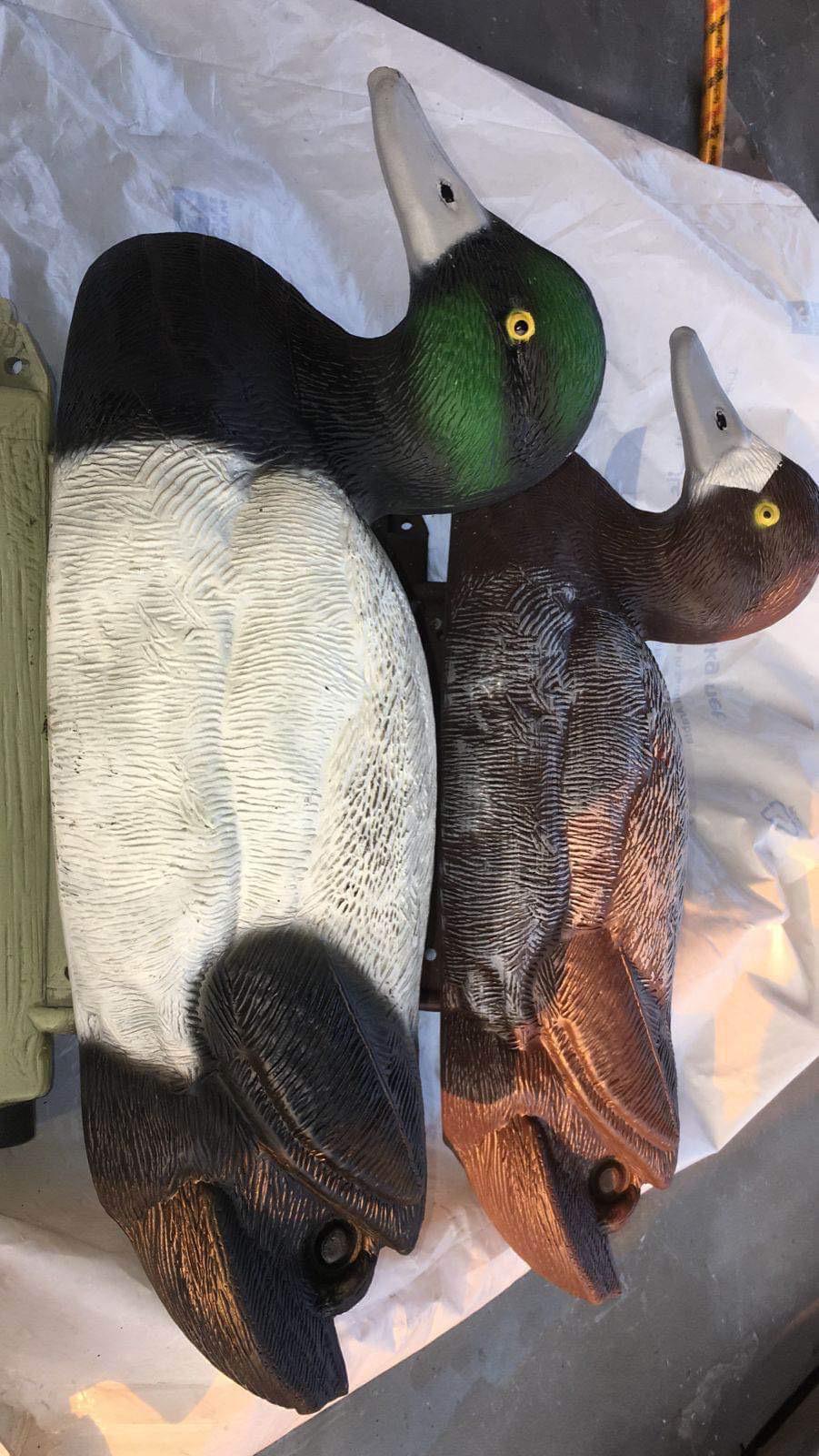 Scaup Decoys